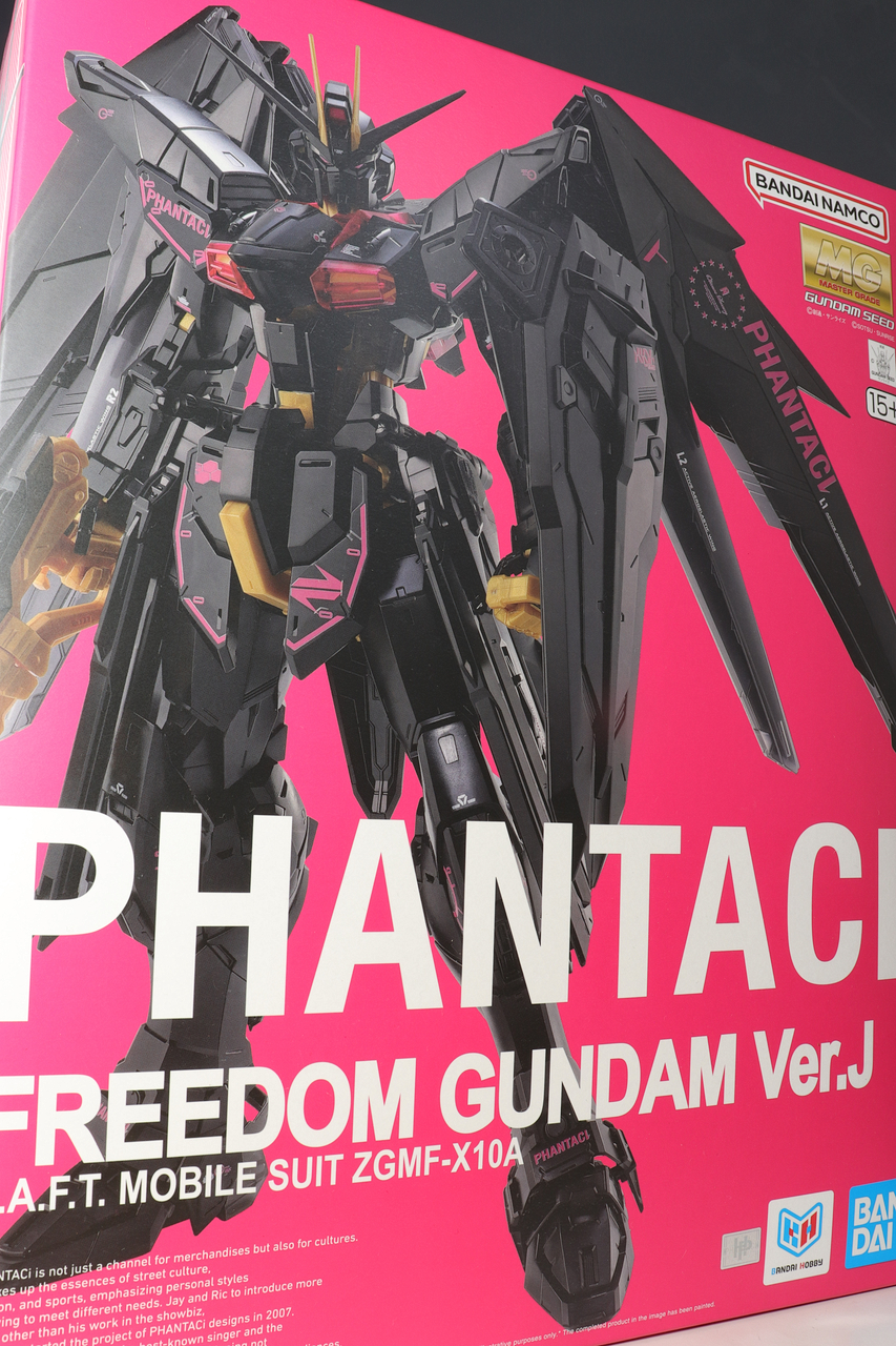 MG PHANTACI フリーダムガンダム Ver.J : デンデロの消失