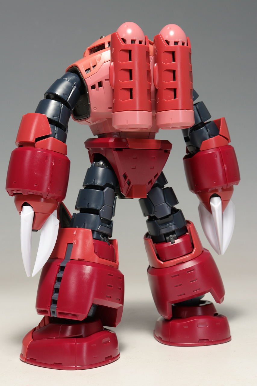 RG シャア専用ズゴック : デンデロの消失