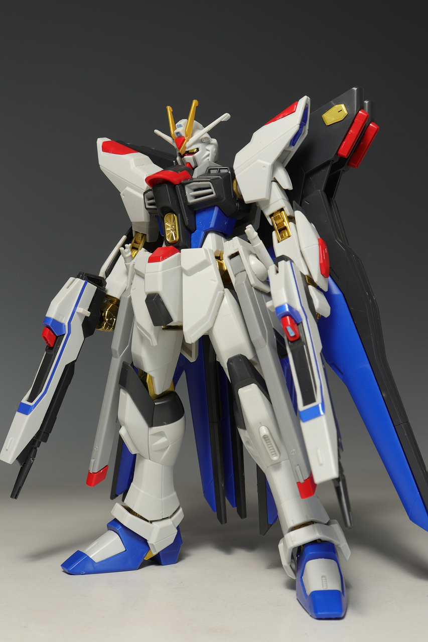 HGCE ストライクフリーダムガンダム 光の翼DXエディション HGCE ストライクフリーダムガンダム 光の翼DXエディション