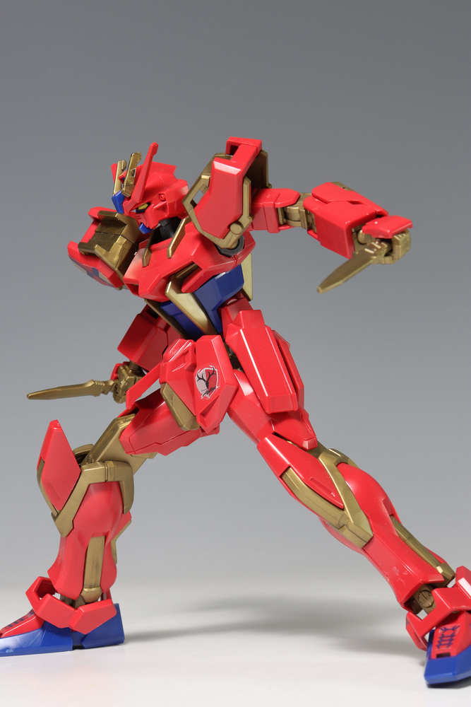 HGCE ストライクガンダム 鹿島アントラーズVer. : デンデロの消失