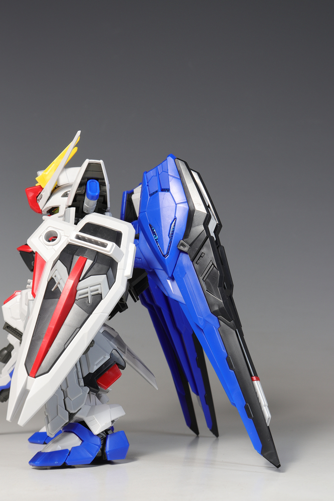 MGSD フリーダムガンダム : デンデロの消失