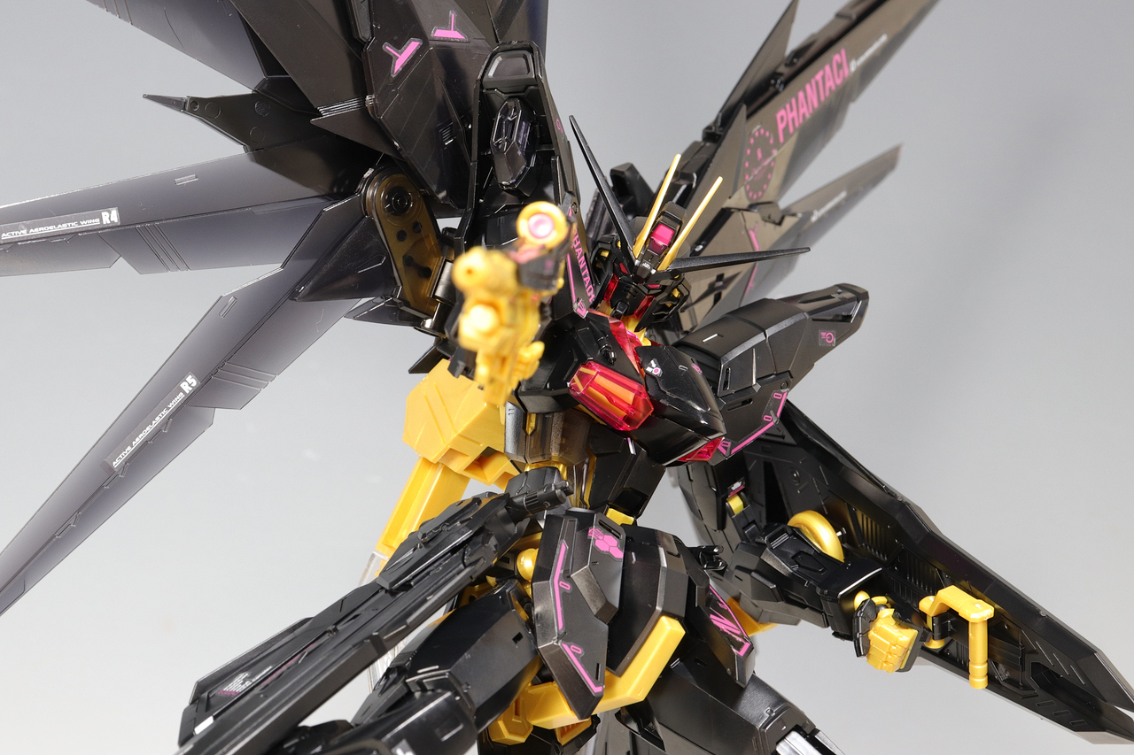 MG フリーダムガンダム Ver J PHANTACI MG PHANTACI フリーダムガンダム Ver.J : デンデロの消失