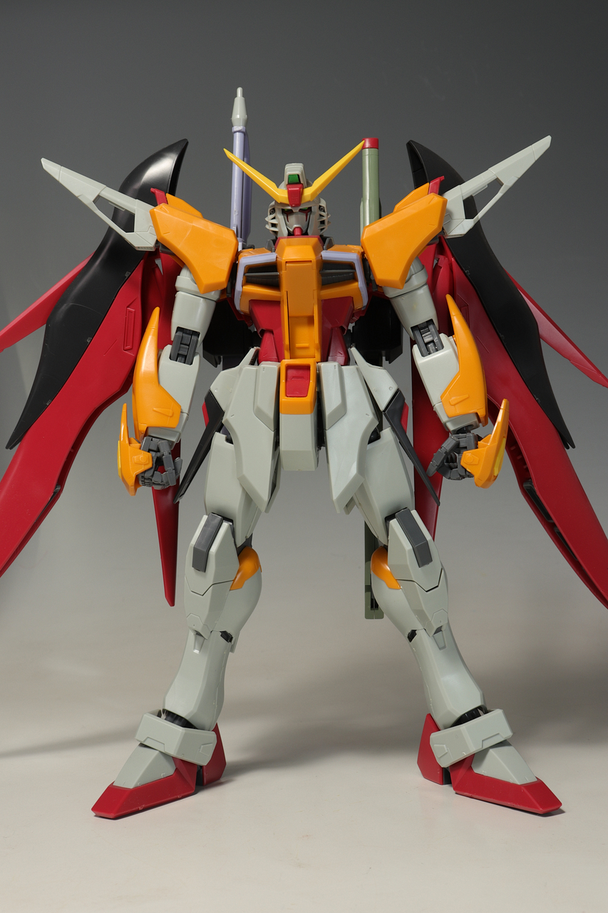 経典ブランド ガンプラEXPO限定 デスティニーガンダム ハイネ専用 MG ロボット