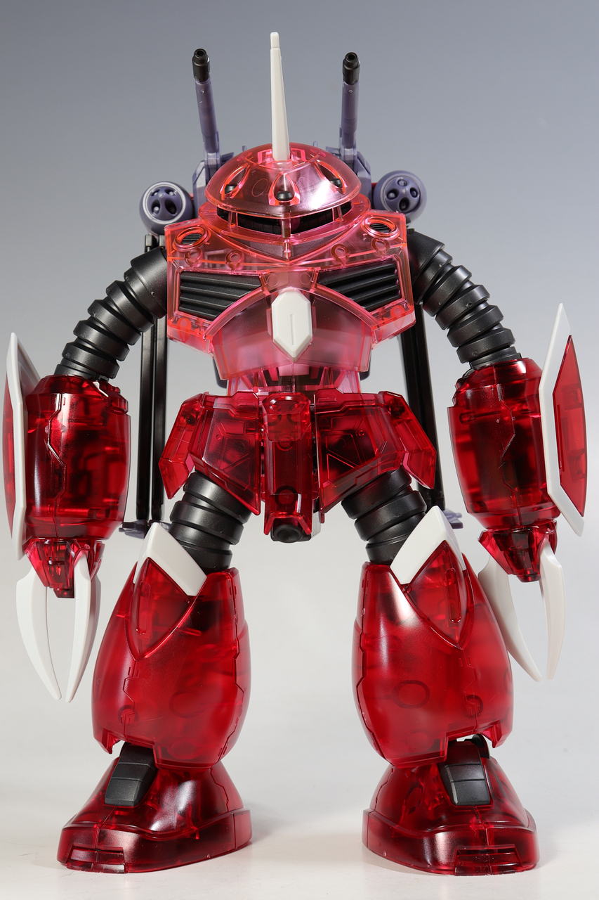 HG ズゴック （SEED FREEDOM Ver.） ［クリアカラー］ : デンデロの消失