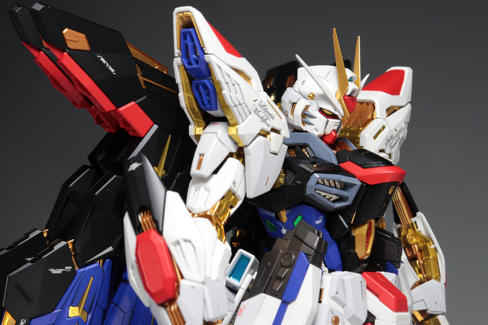 MGEX 1/100 ストライクフリーダムガンダム プラモデル+spbgp44.ru