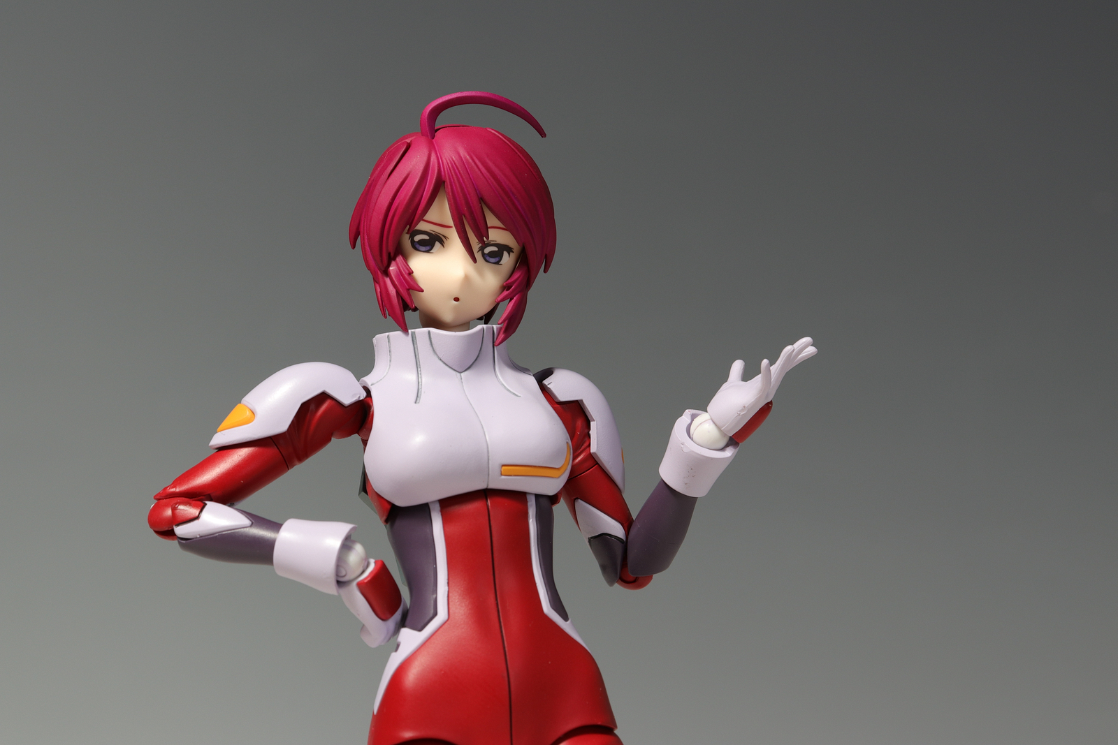 Figure-rise Standard ルナマリア・ホーク 完成 : デンデロの消失