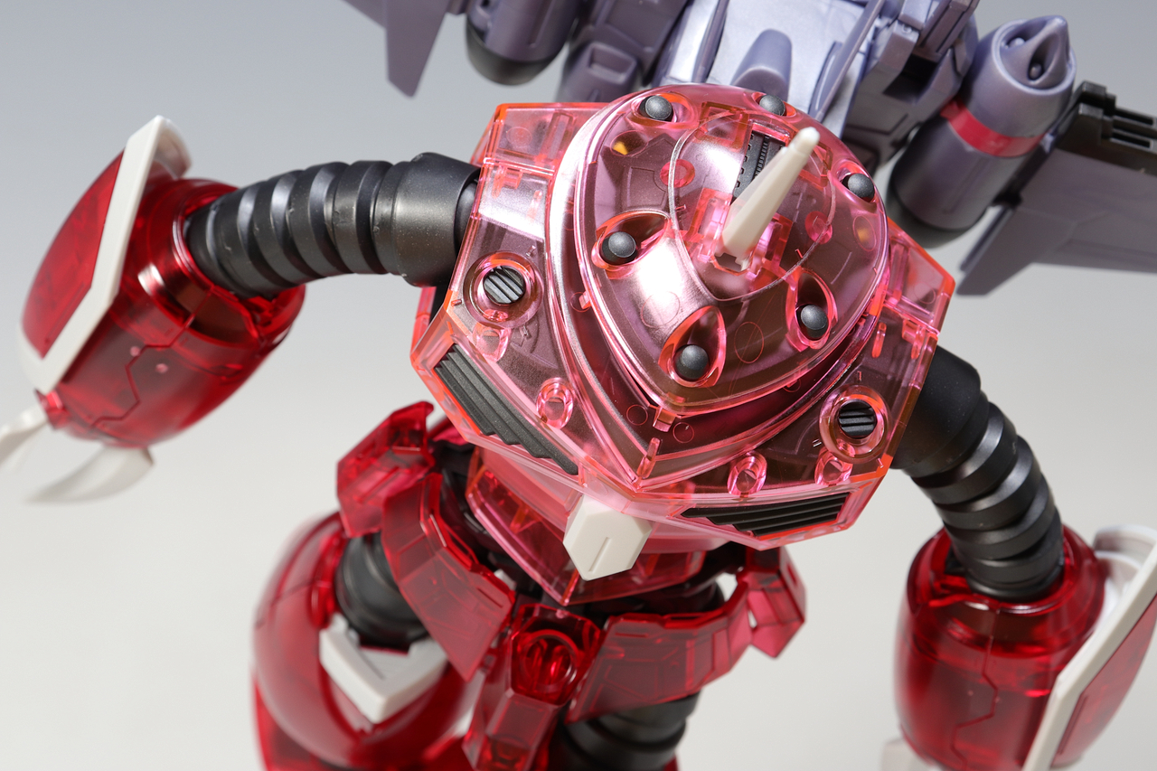 HG ズゴック （SEED FREEDOM Ver.） ［クリアカラー］ : デンデロの消失