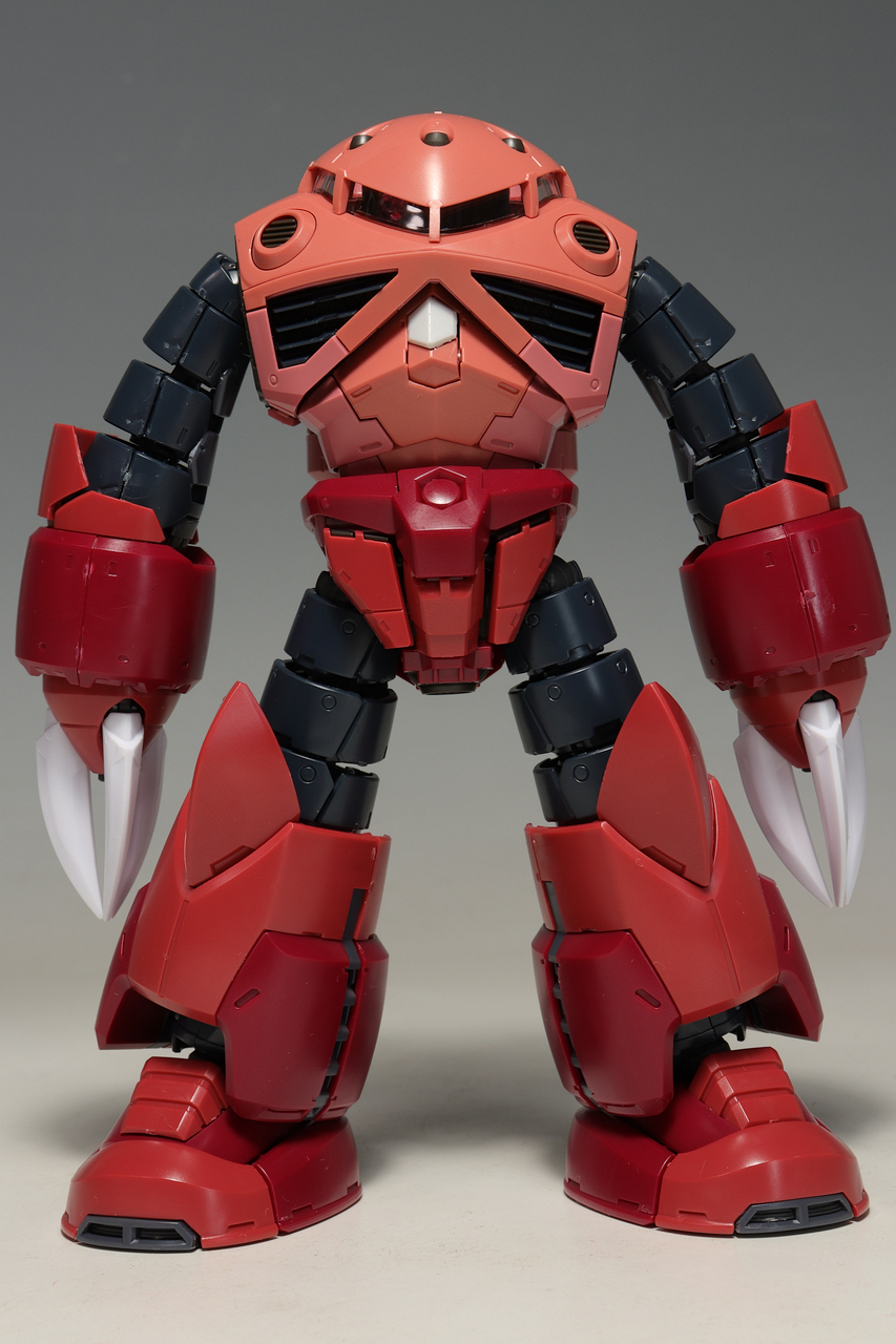 RG シャア専用ズゴック : デンデロの消失