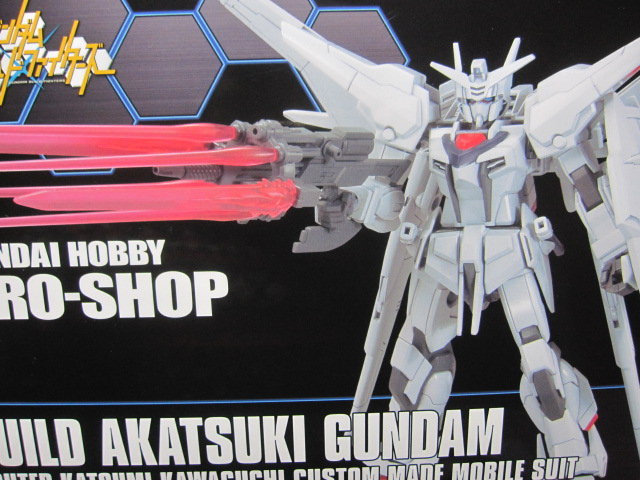 Hg ビルドアカツキガンダム レビュー デンデロの消失