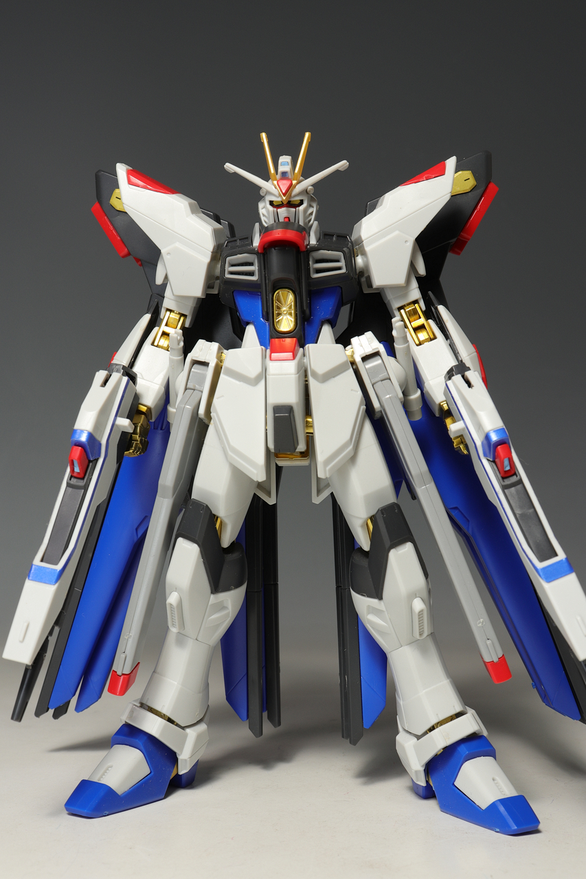 HGCE ストライクフリーダムガンダム 光の翼DXエディション
