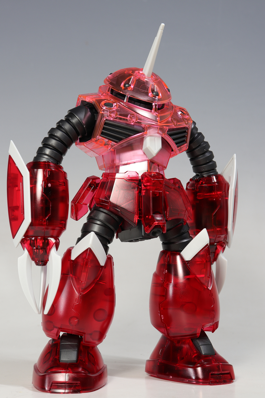 HG ズゴック （SEED FREEDOM Ver.） ［クリアカラー］ : デンデロの消失