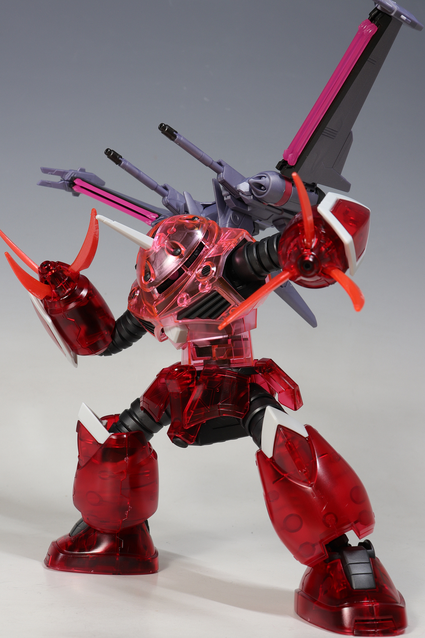HG ズゴック （SEED FREEDOM Ver.） ［クリアカラー］ : デンデロの消失