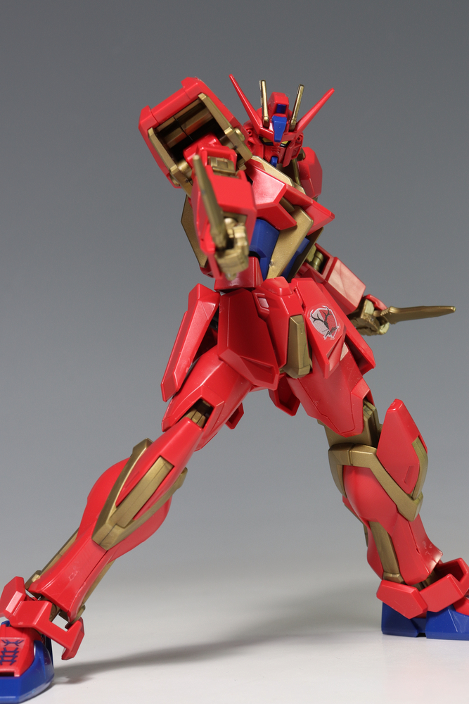 HGCE ストライクガンダム 鹿島アントラーズVer. : デンデロの消失