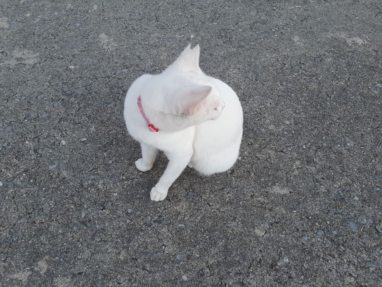 年10月の旅 備瀬のマジックアワー 人生の長い午後