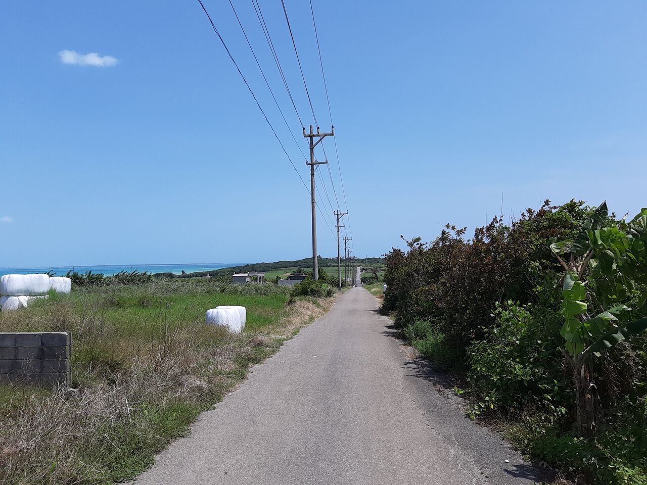 21年4月の旅 小浜島 シュガーロード 人生の長い午後