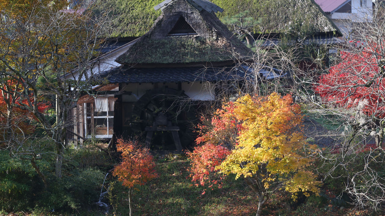 京都府南丹市美山町観光 Denjiroのブログ 京都府南丹市美山町観光 Denjiroのブログ