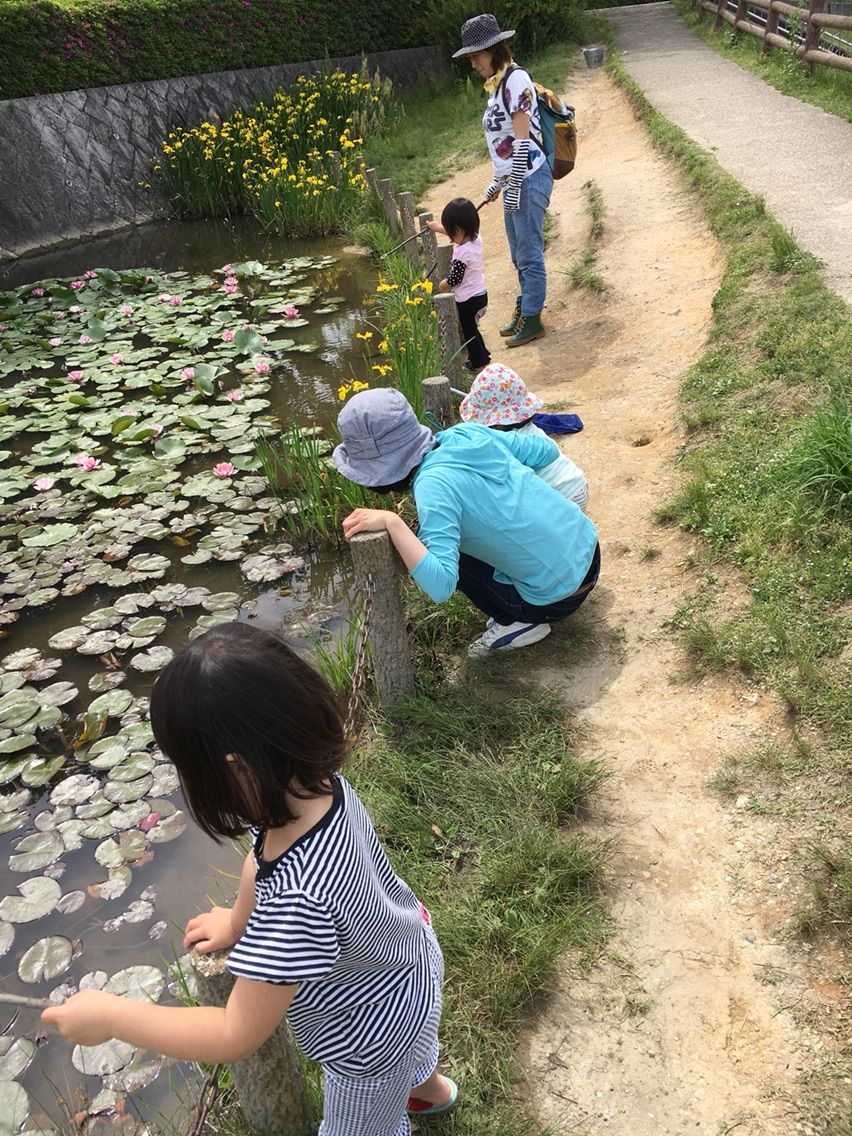 新海池公園でザリガニ釣り 名古屋の自主保育でんじやま