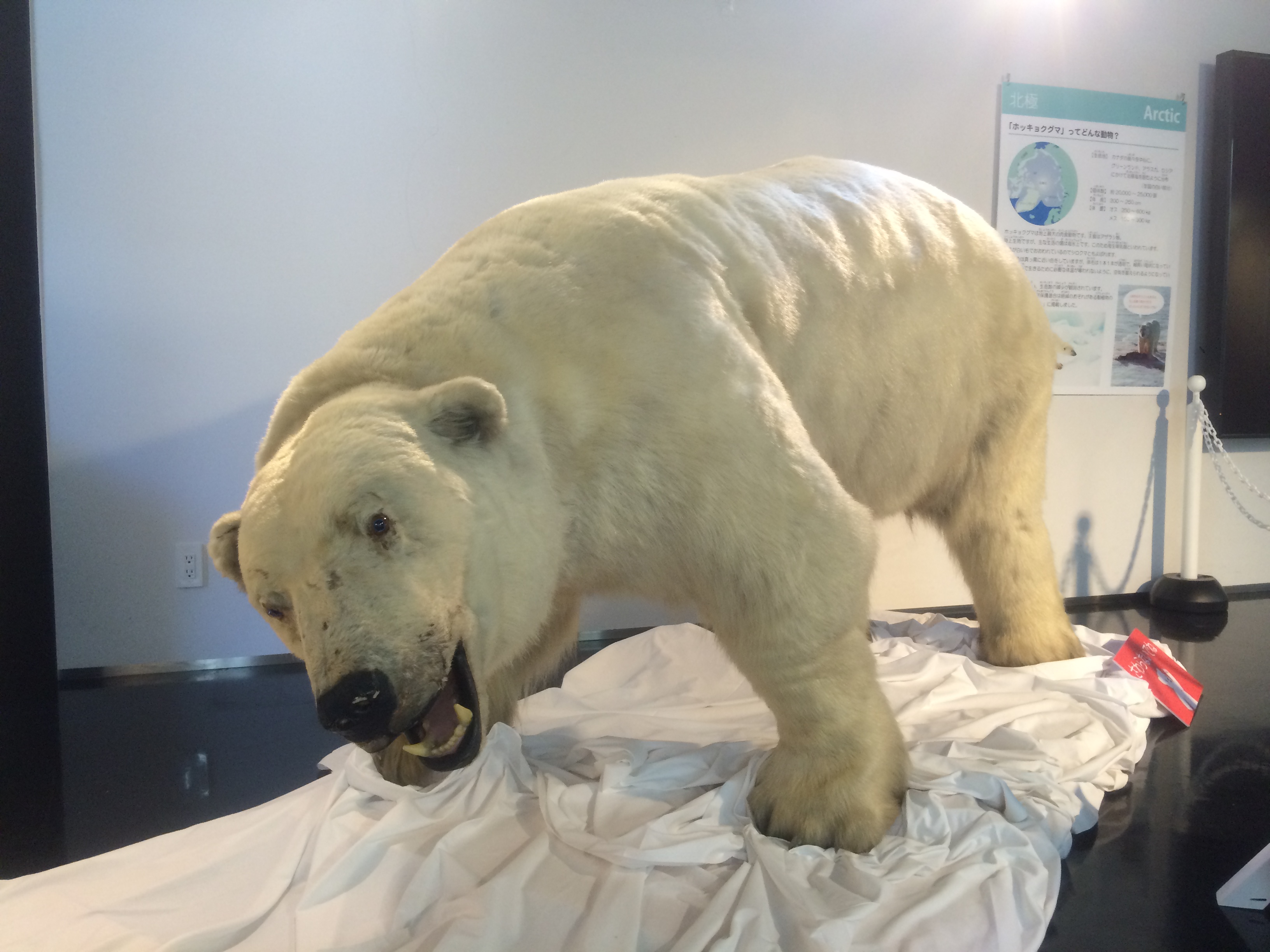 南極北極科学館 第57次 機械隊の南極活動
