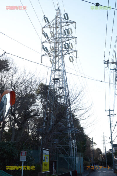 kizaki4