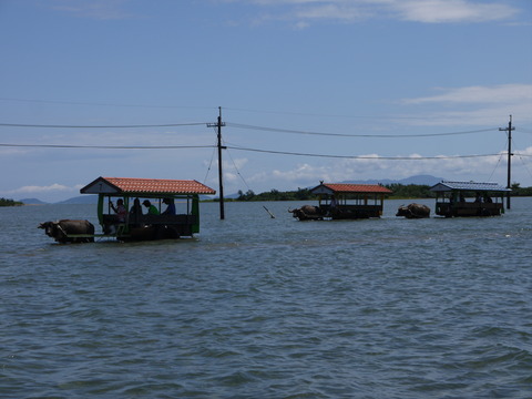 P1000662