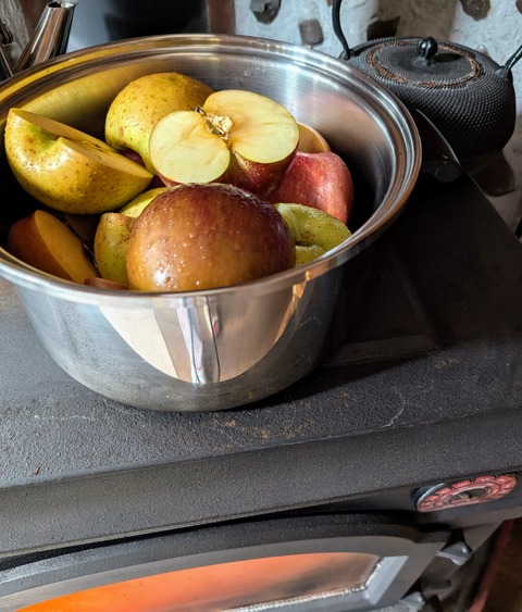 PXL_20260118_003625913.MP