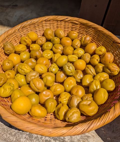 PXL_20250720_010500880