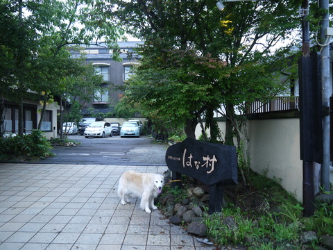 P1000897