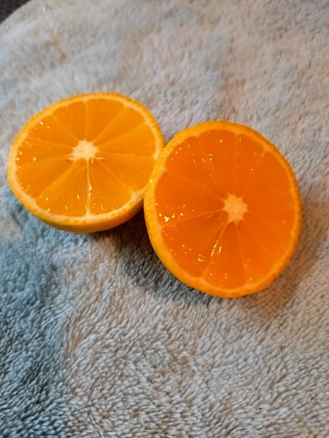 20241122_070116