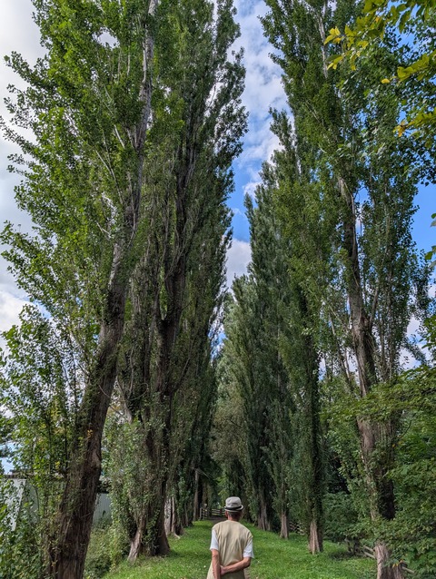 PXL_20250923_051436542