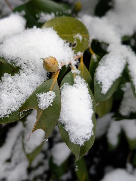 PXL_20260208_034456776.PORTRAIT