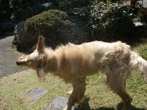 2008.5-3