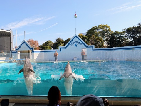 PXL_20251208_023709268.MP