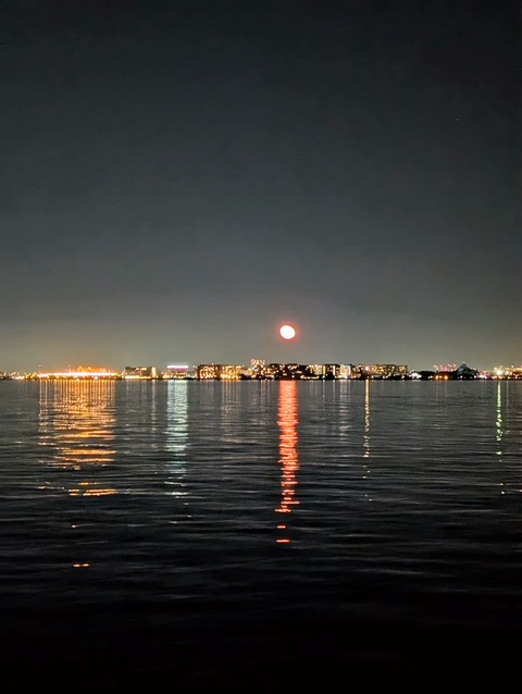 PXL_20251207_095606789.PORTRAIT.ORIGINAL