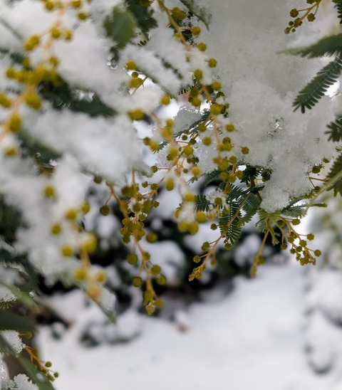 PXL_20260208_034321945.PORTRAIT