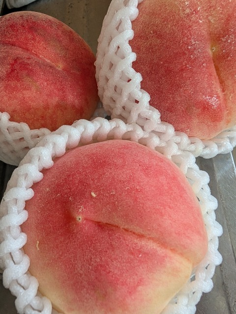 PXL_20250724_064420751