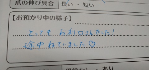 DSC_2206~2
