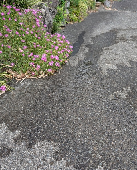 PXL_20250723_091144778