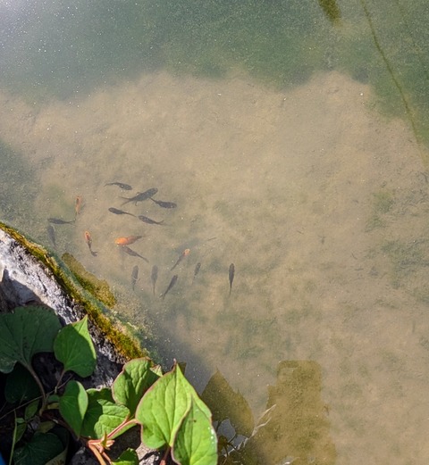 PXL_20250719_002220561