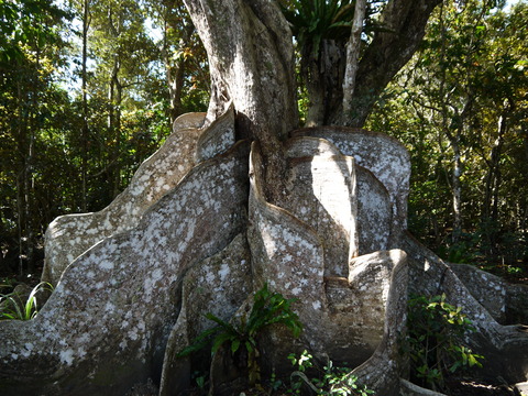 P1000650