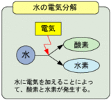 ����ŵ�ʬ��