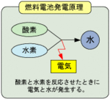 ǳ������ȯ��