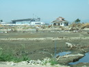 sinnsai5