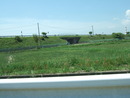 sinnsai2