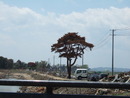sinnsai10