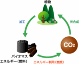 �Х����ޥ���������