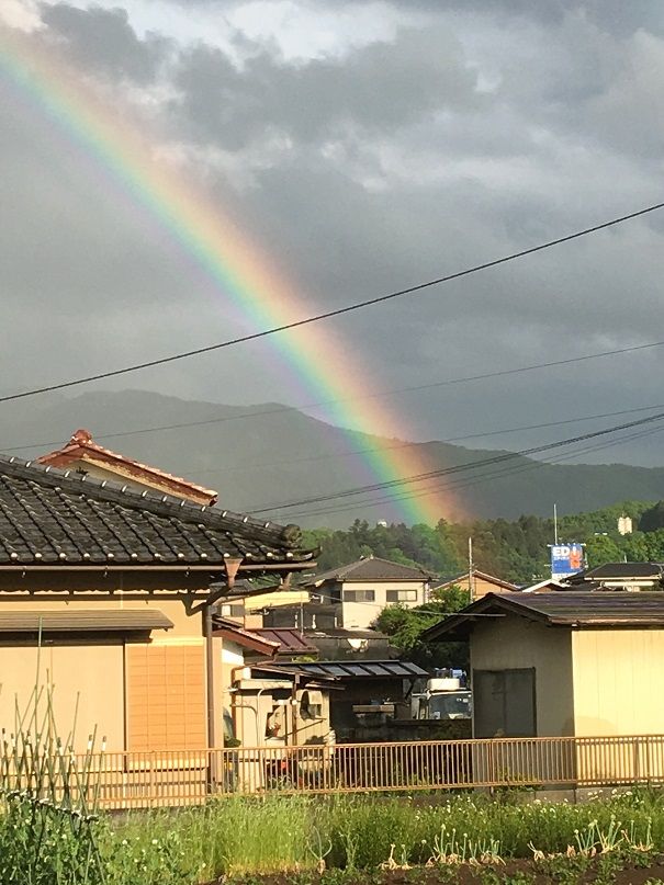 今日は鉄道ではないのですが 珍しいので載せます 虹の根元 の写真です 電気屋の鉄道資料館