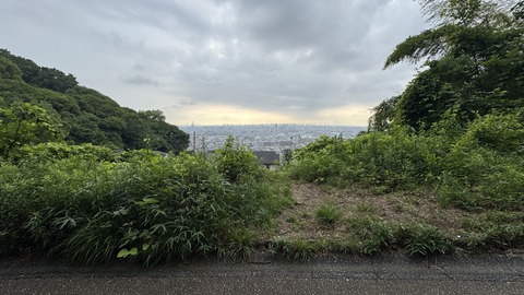 IMG_2008