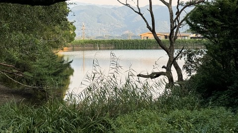 IMG_1727