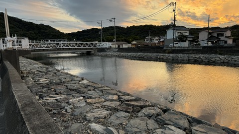 IMG_2569