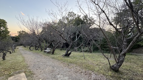 IMG_2977